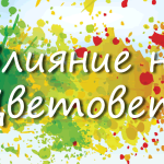 Влияние на Цветовете